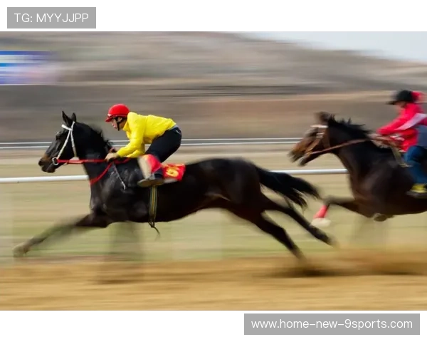 世界马术赛事检疫与运输合规手册第71版更新，国际马术比赛项目